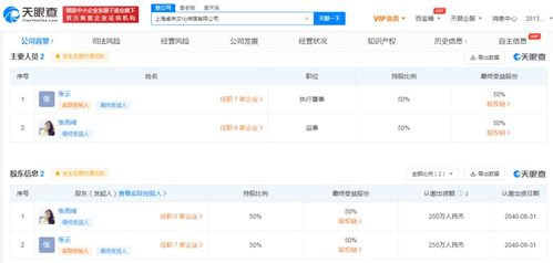 數(shù)字文化創(chuàng)意內(nèi)容的應(yīng)用服務(wù) 重塑未來的文化體驗(yàn)